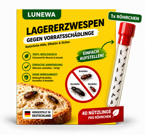 Lagererzwespen gegen